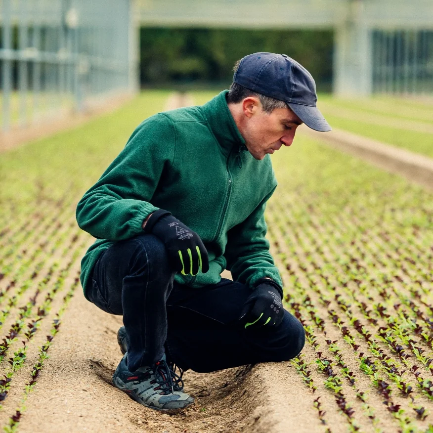 aria filiere agroalimentaire