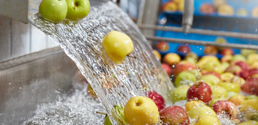 Eau Station de lavage de pommes