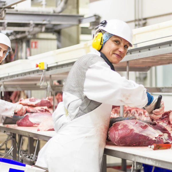 Accueil decoupe viande aria