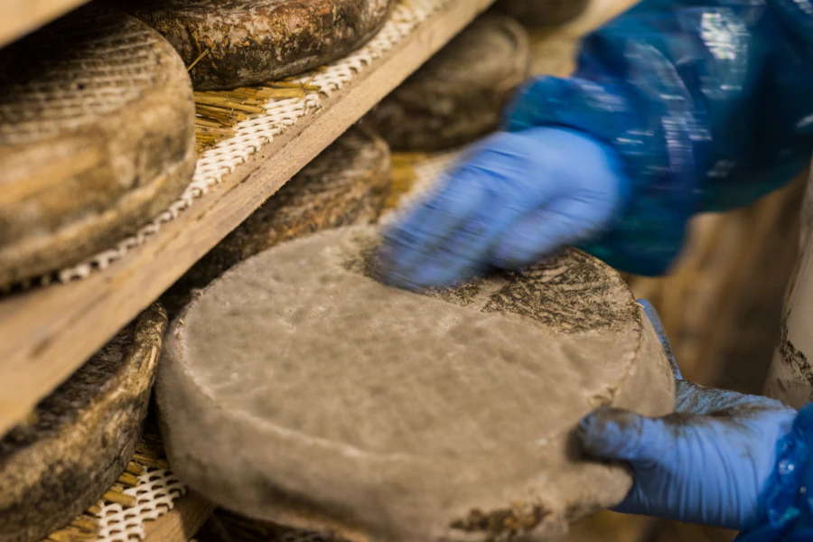 Accueil fromagerie dischamp affinage
