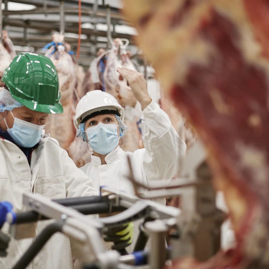 Réseau abattoir socopa