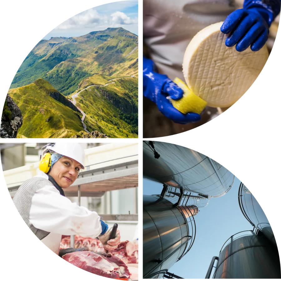 L'ARIA en Auvergne-Rhône-Alpes agroalimentaire auvergne rhone alpes 2