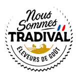 Logo Tradival